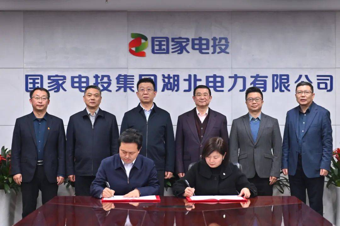 紧密合作 携手共赢 | 林洋能源与国家电投湖北公司再签战略合作协议