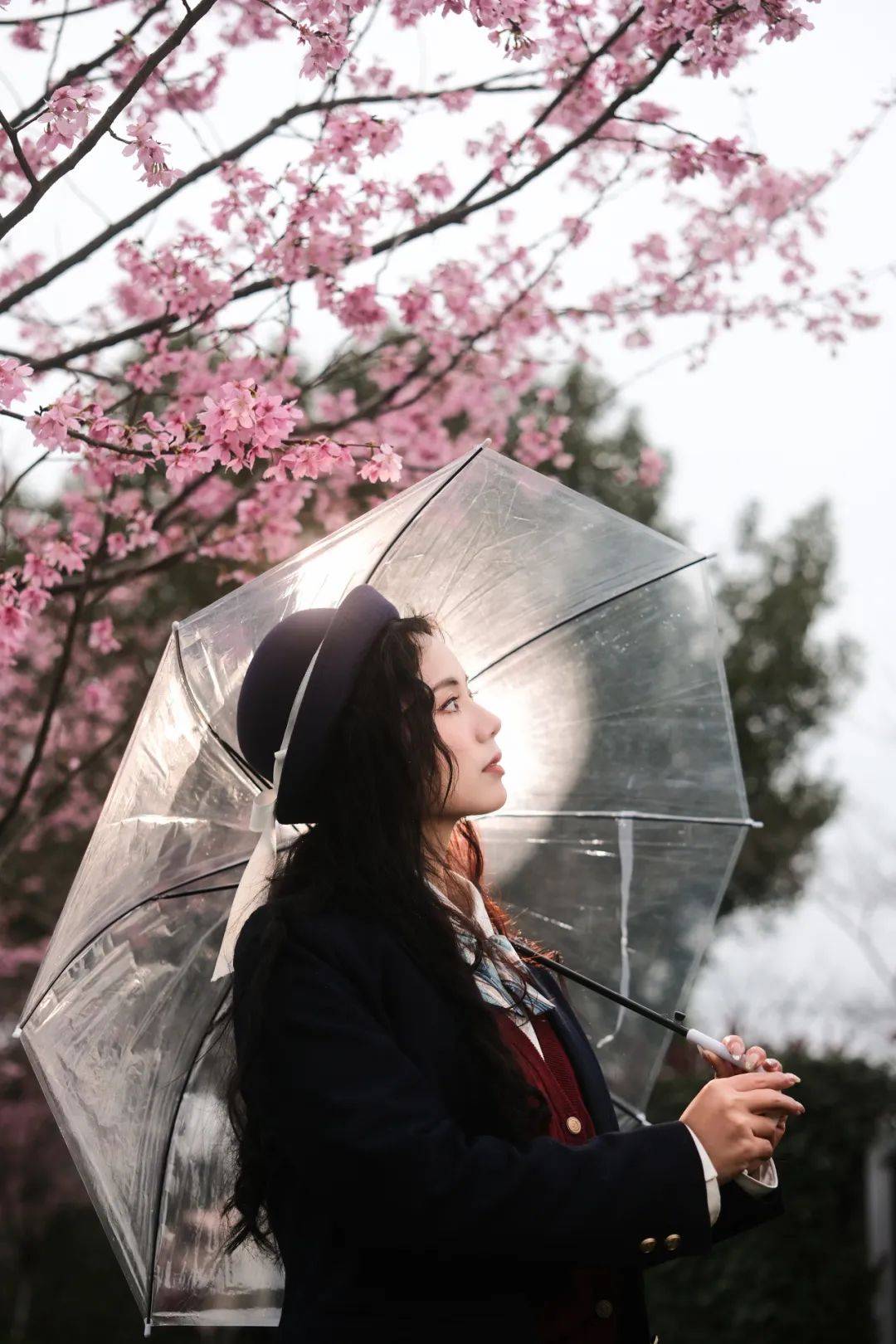 张琦_摄影_lolita