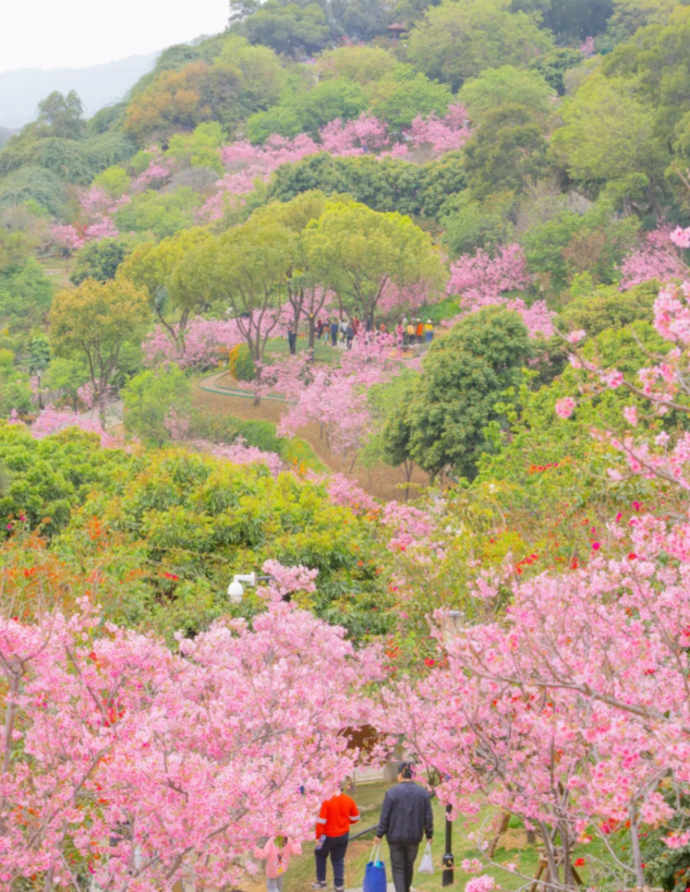 【厦门最全攻略】这里很美,而我们正好有空~_金榜公园_植物园_美食