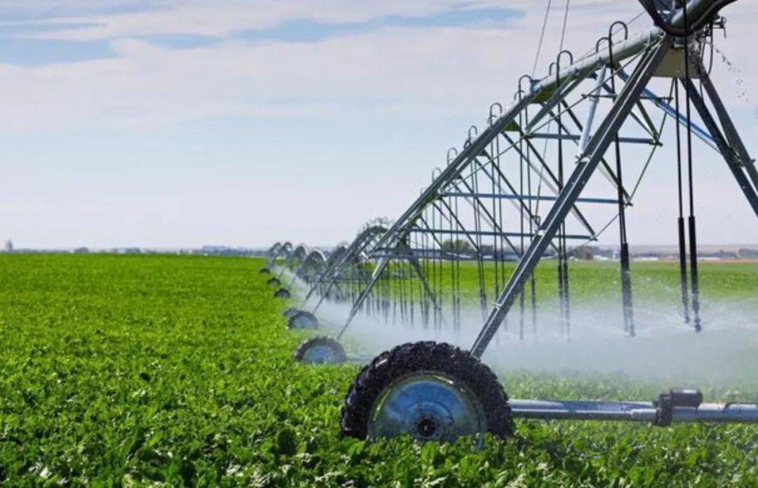 腾讯,阿里,京东,拼多多如何布局智慧农业_技术_发展_平台