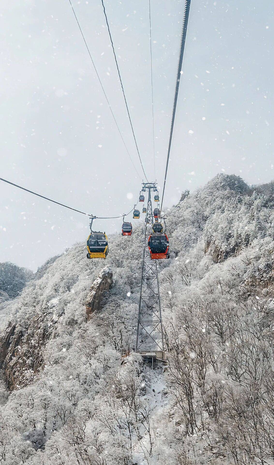 豫见老君山||附攻略_索道_亮灯_时间