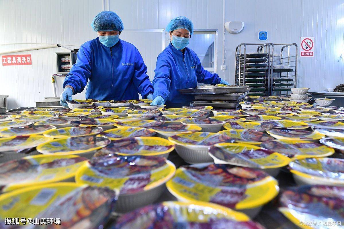 鱼罐头加工厂除臭剂高效处理异味_食品_原料_植物