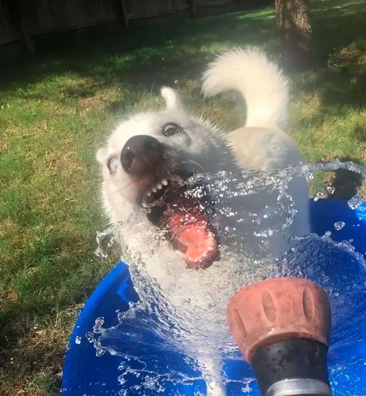 全网最细优缺解析_华为_手机_铰链