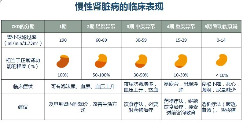 慢性肾病3期怎么控制?