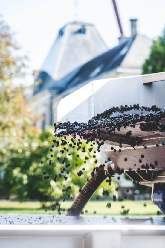 城堡_评选_酒庄