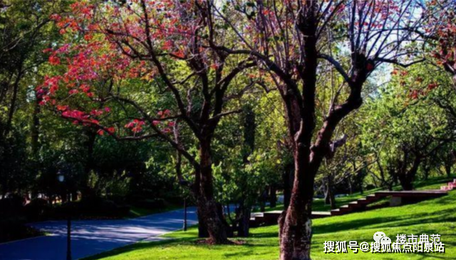 麓语_凯德麓语)首页网站丨凯德麓语欢迎您丨楼盘详情_项目_生活_景观