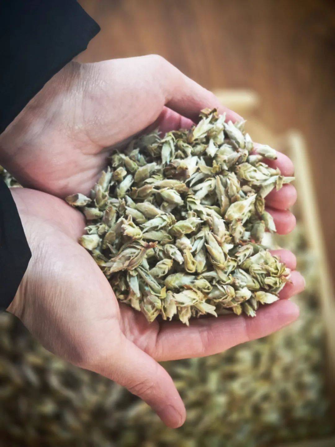 猴王贡芽苞茶火爆预售,香甜如花蜜,野韵十足,让你一尝春鲜!