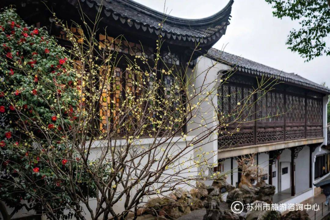 最新实拍丨苏州园林赏梅最佳处,园主们早就给你安排好啦!