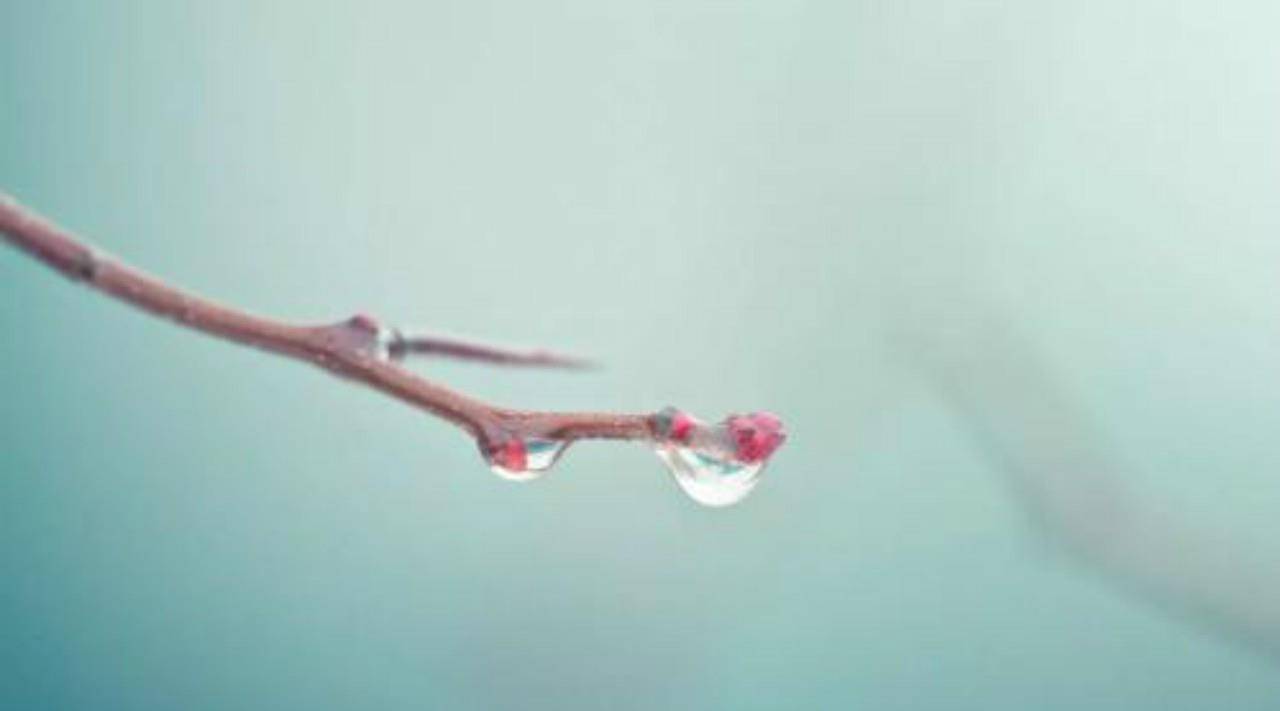 唐诗中最美的一场微雨,来自16岁的李商隐,无一雨字