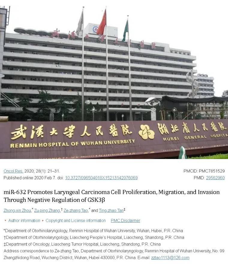 武汉大学人民医院发表的论文被关注,因为文章图片存在重复