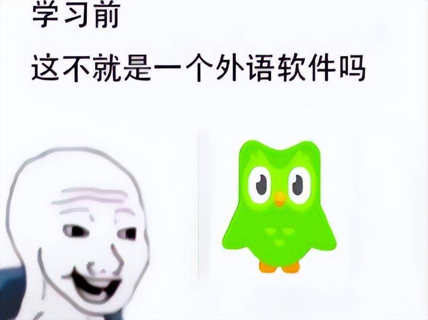 出演芭比,追星泰勒…月活近亿的多邻国这样打广告