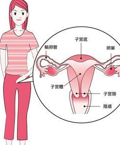 2,贪凉一方面,跷二郎腿时,两腿通常会夹得过紧,使大腿内侧及生殖器