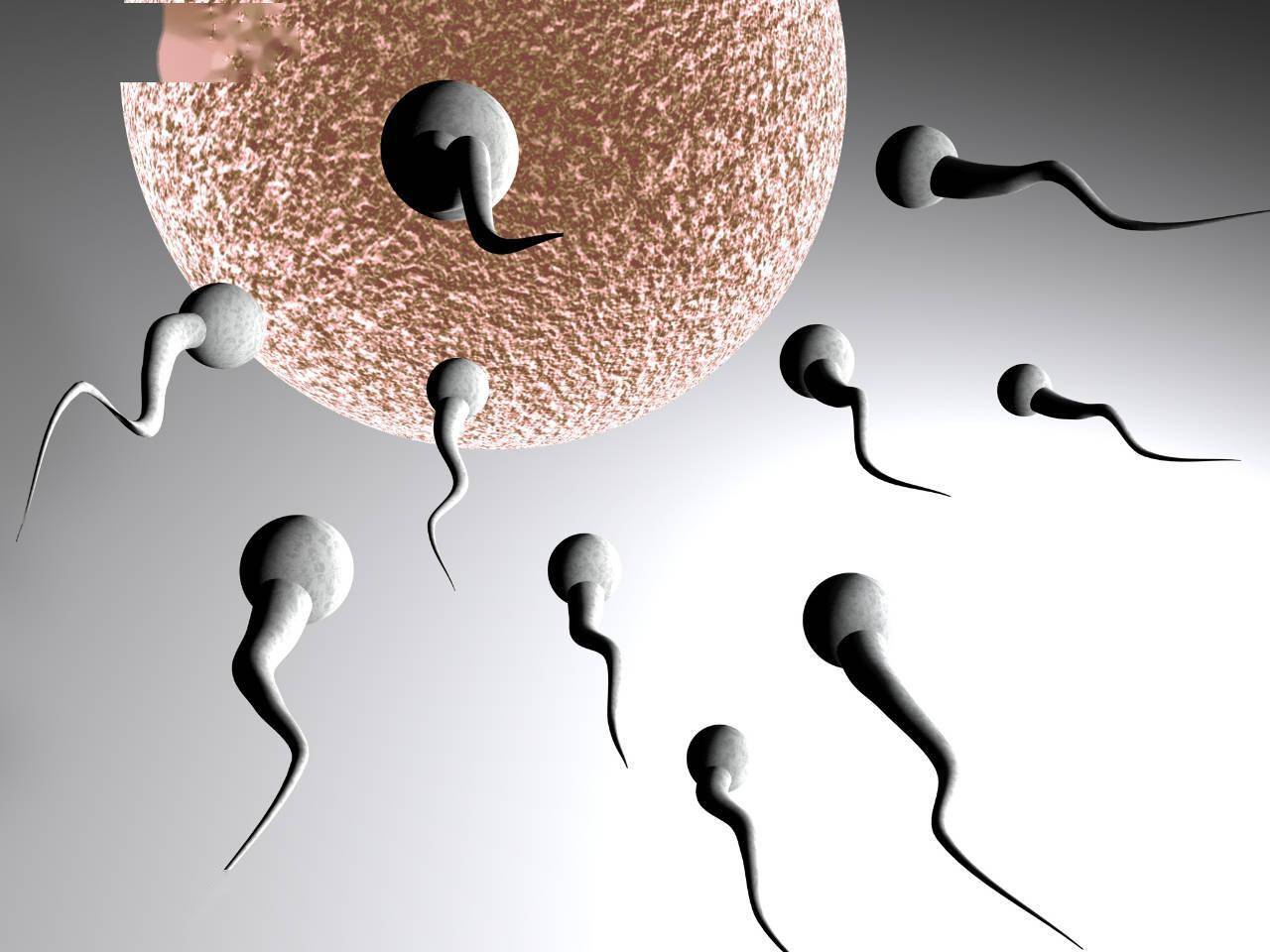 男人备孕吃辛富力增强精子活力真的那么重要吗?