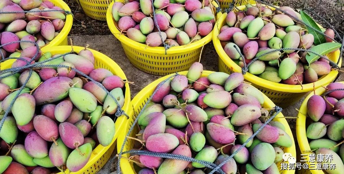 槟榔,胡椒,菠萝,莲雾,芒果等热带果蔬随处都可以买到,而且价格低廉