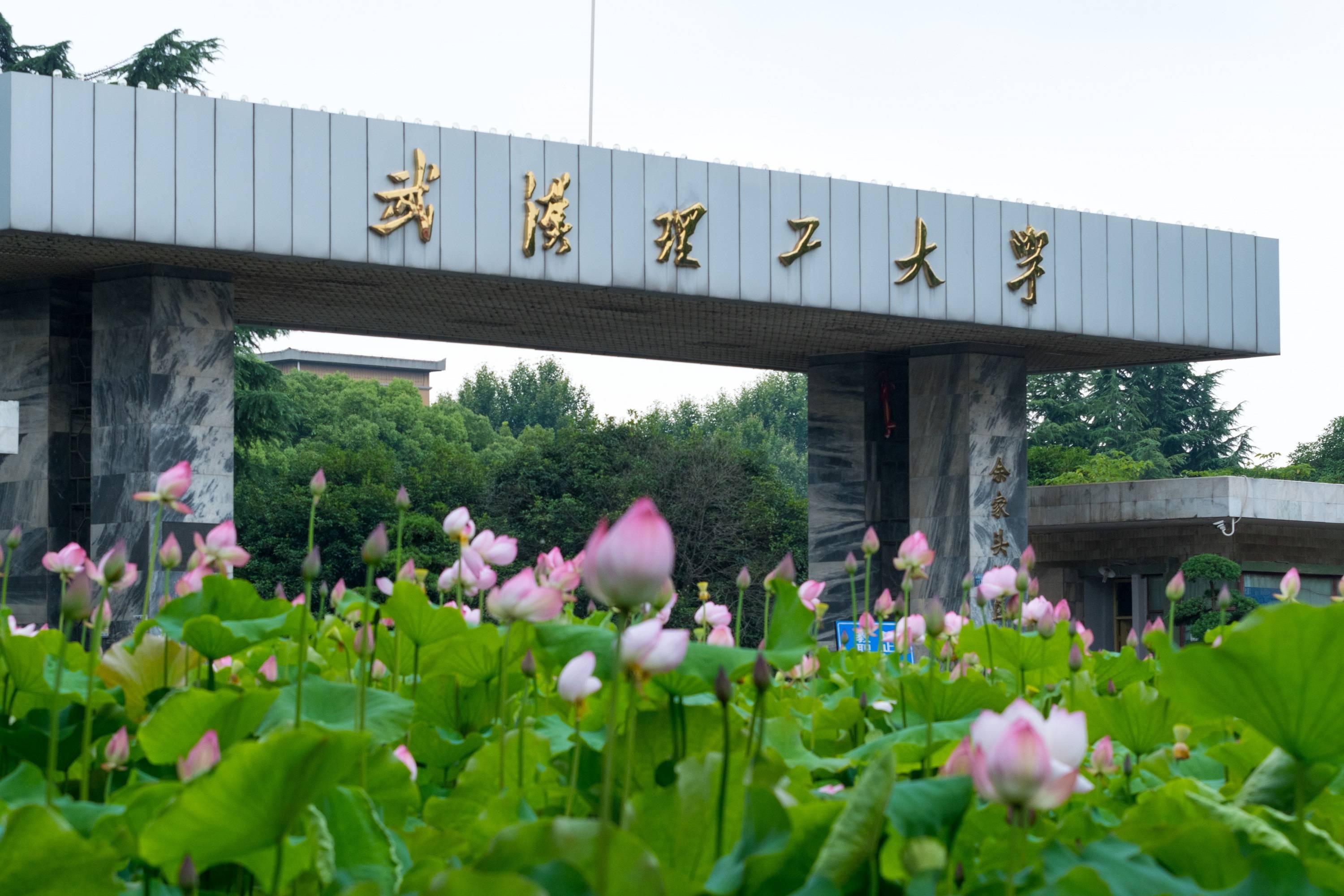 武汉理工大学mpa近三年分数线