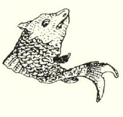 箴鱼其中多箴鱼,其状如儵,其喙如箴,食之无疫疾.