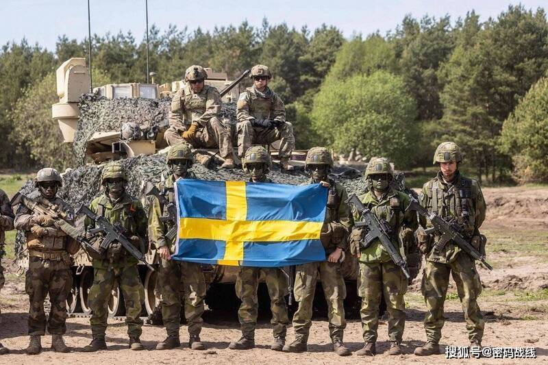 瑞典陆军装备图片