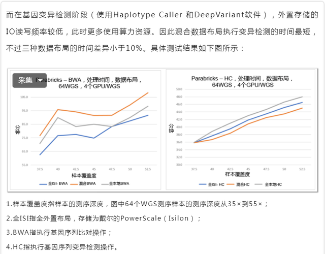 算力 存力:优化基因测序的关键所在_进行_阶段_文件