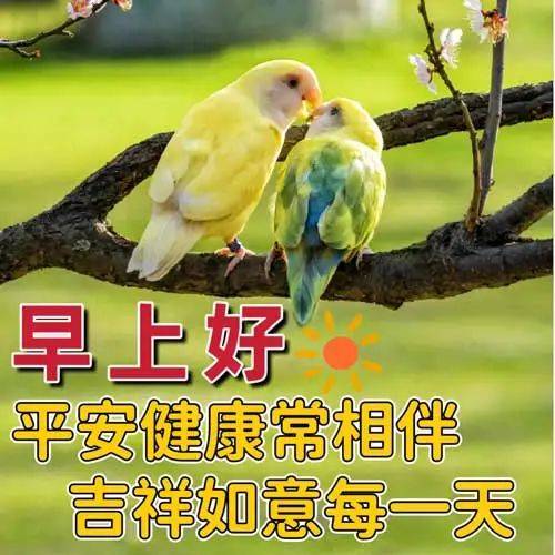 非常漂亮好看的早上好图片大全 大家早上好祝福语图片带字