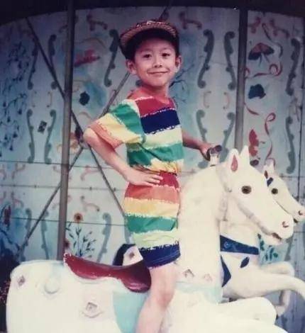 一群明星的成长轨迹从童颜到如今,他们经历了什么_邓超_关之琳_陆毅