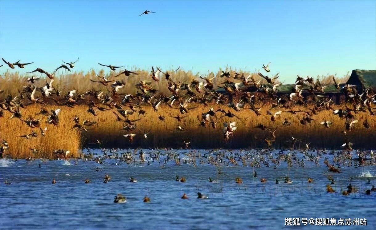上海路劲象屿岛上的院子最新价格-路劲象屿岛上的院子售楼处电话-位置