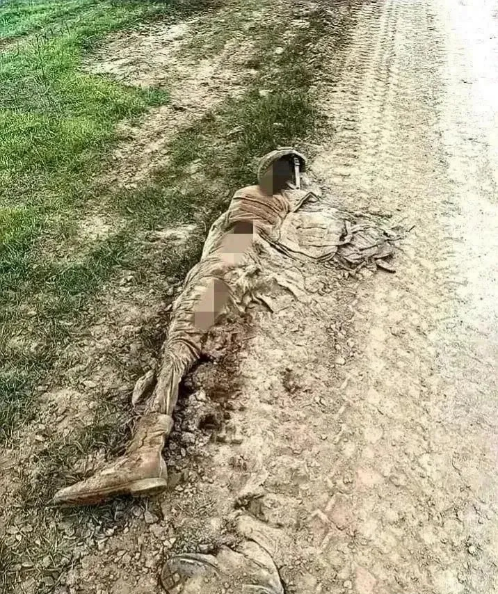 海豹突击队雷阵亡图片