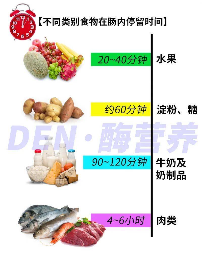 如果只吃油脂类的食物,则可推断消化的时间比较久,可能超过五六个小时