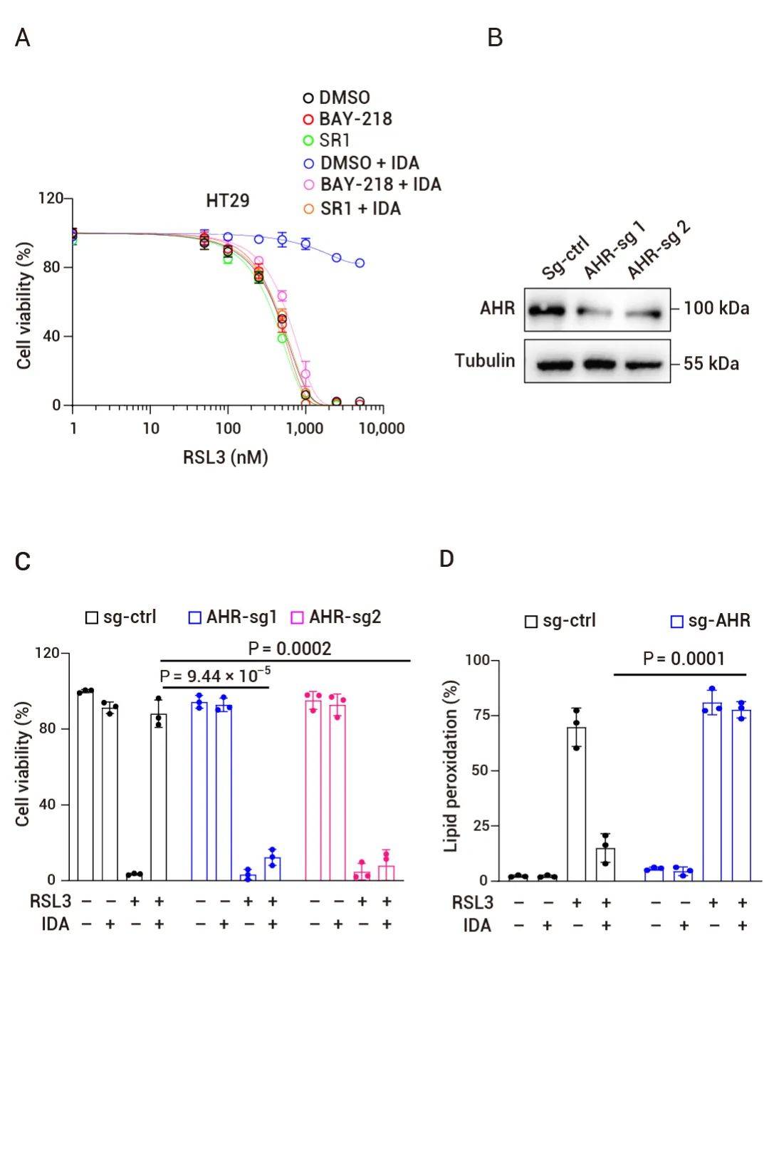 抑制,研究人员使用 ahr 拮抗剂 bay-218 和 stemre-genin 1  (sr1)