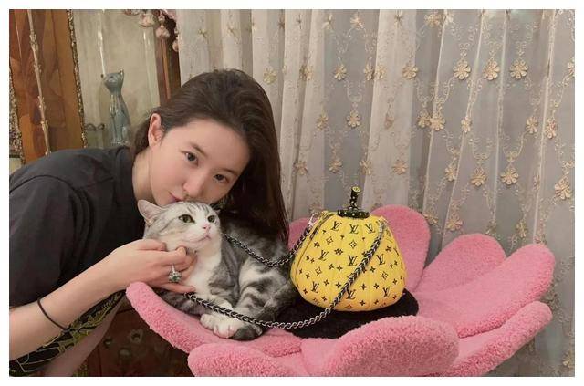 36岁刘亦菲曝光奢华豪宅,与猫狗相伴,网友羡慕!_生活_灵气_猫咪