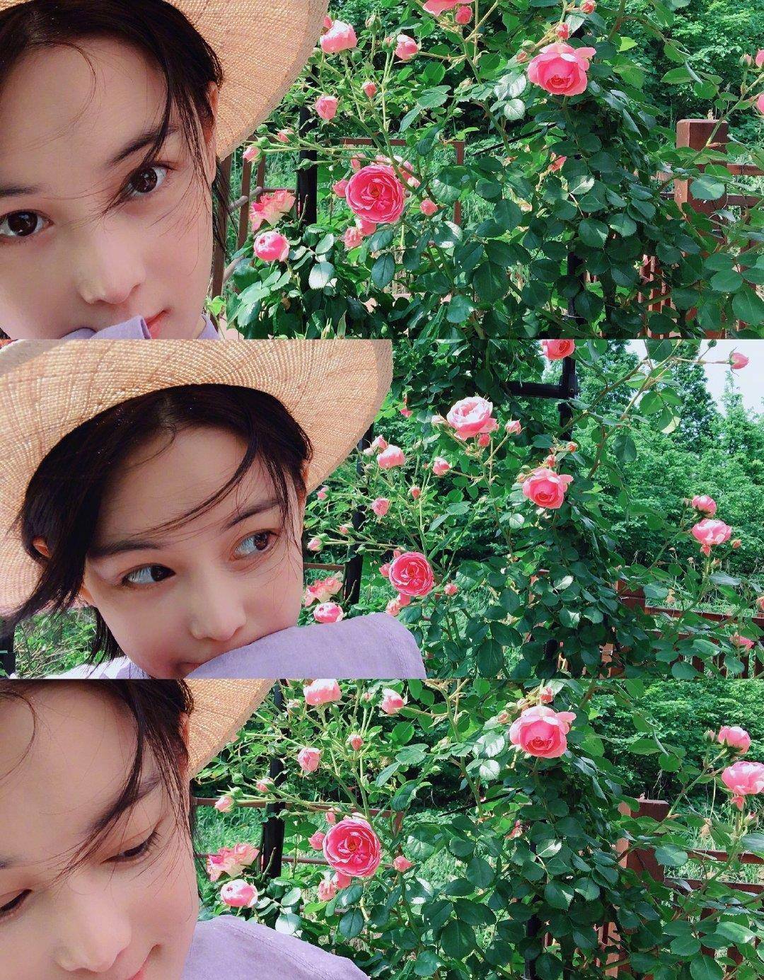 张馨予家菜园子丰收了,摘了满满一筐瓜果,小馋猫却并不满足,还想着吃