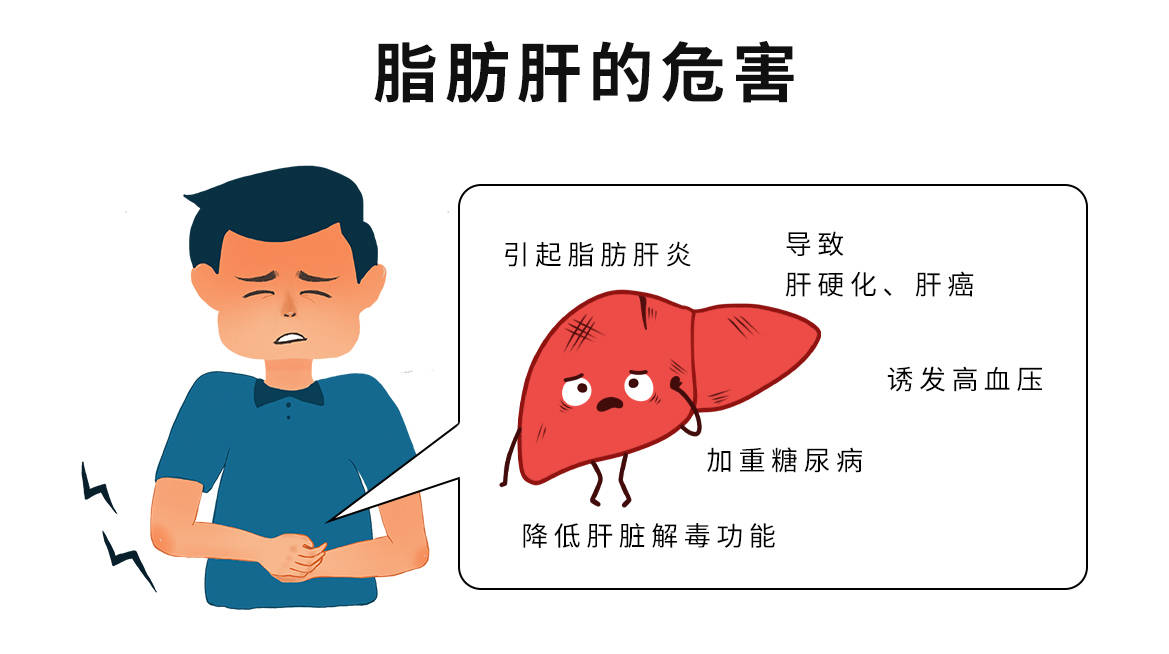 脂肪肝后,不仅会导致肝脏的解毒功能无法正常运作,还会引发更多的并发