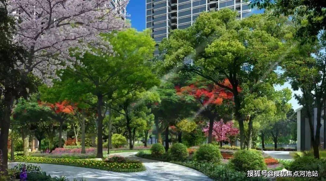 深物业金领(深圳)13131313深物业金领户型图