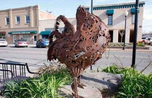 "无头鸡"麦克,一只断头后依旧存活了18个月的鸡坚强_罗迪奥_家人_头颅