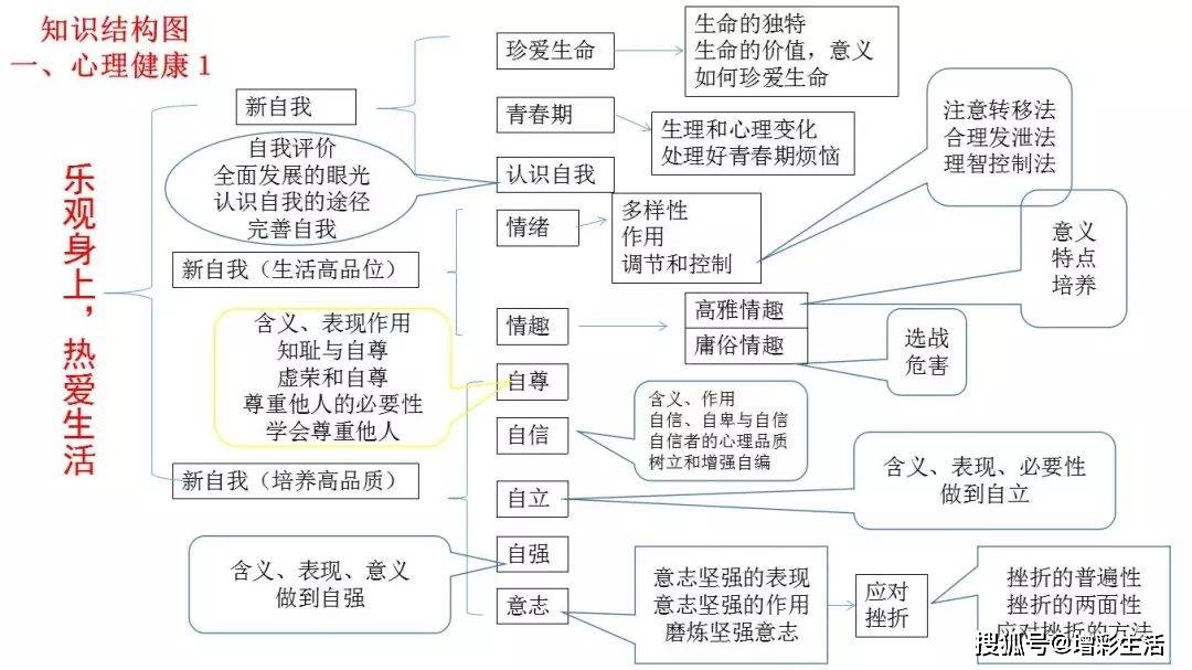 握手礼思维导图图片