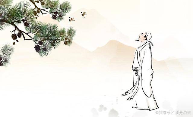 梨花_人间_红楼