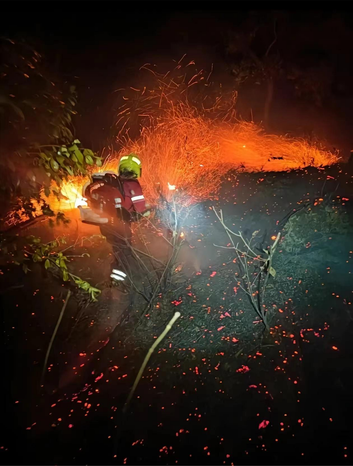 令人心痛的是,此次山火导致多位救火英雄牺牲,"95后"邓璞已经与女友