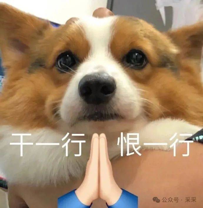 ▍啥信息都不给就喊人过去面试,真的不是赶kpi的吗▼你这一上来就这个