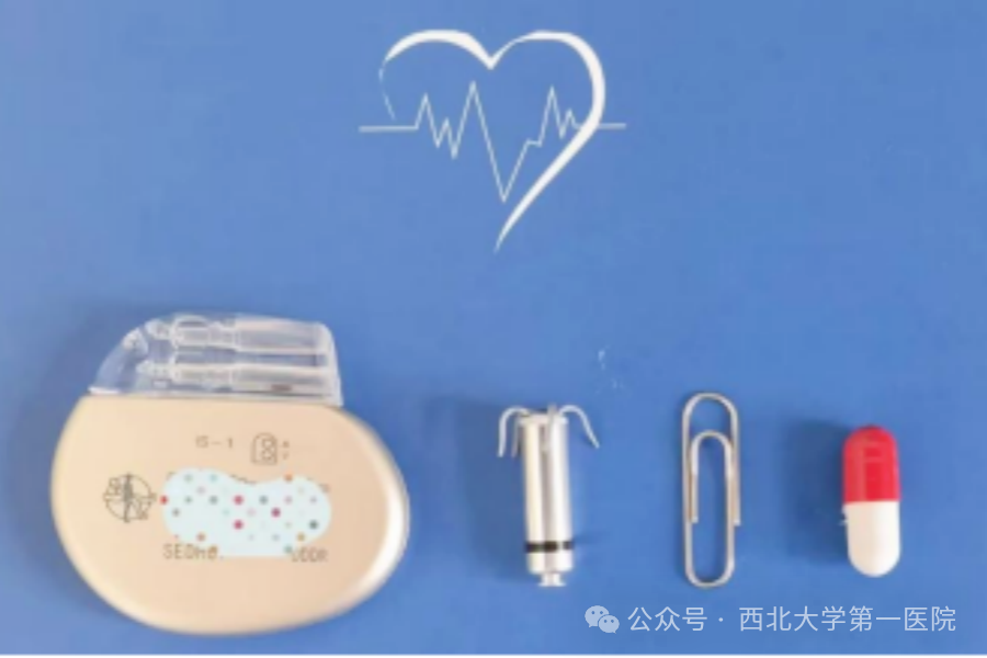 【首例】西北大学第一医院心血内科成功开展无导线永久起搏器植入术