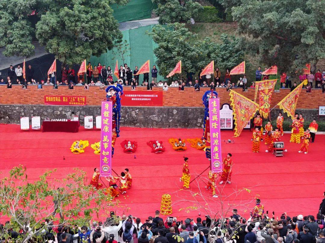 东莞厚街镇"抢炮头"活动热闹非凡_罗马尼_市民_醒狮