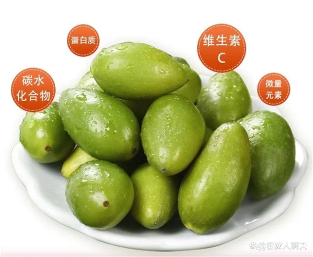 发现橄榄的更多魅力!_tvdy_cn_html