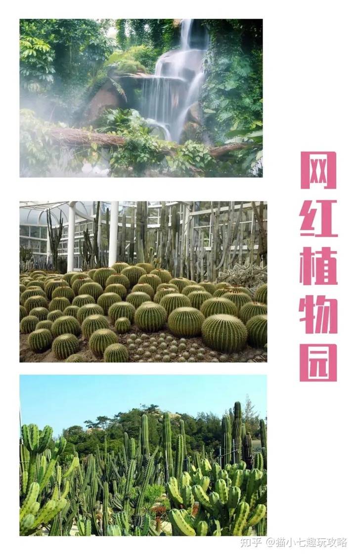门票_植物园_文艺