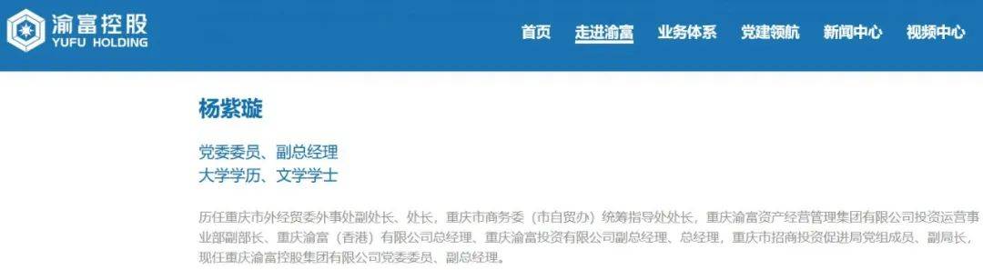 涪陵_杨紫璇_控股集团