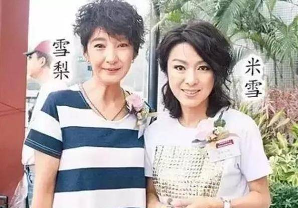 徐少强:事业颠覆自毁前途,玩弄米雪妹妹雪梨感情,终成网红杀手_公司