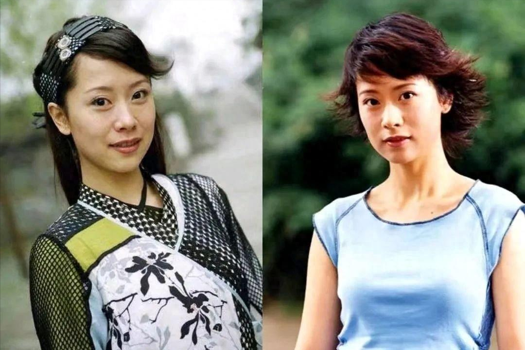 放着"国民媳妇"不做,海清在中年女演员另一条大路上,越走越远_表演