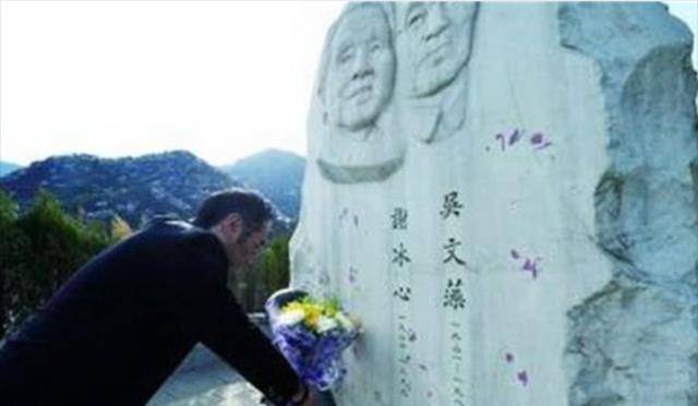 吴山:父亲劈腿,母亲被逼至抑郁,为报复在奶奶冰心墓碑上泼红漆_陈凌霞