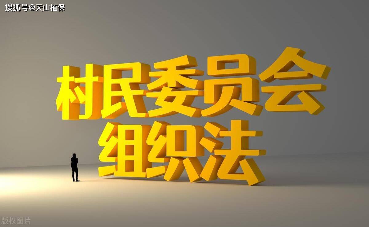 原创农村集体经济组织实行什么