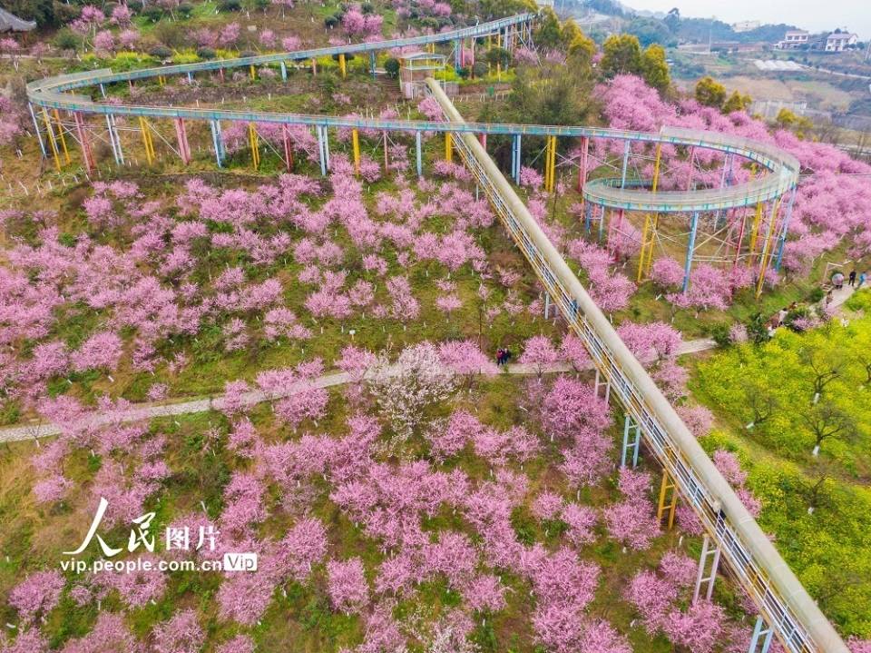 重庆红岭溪谷景区门票图片