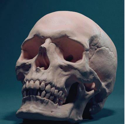 王莽死后头颅为什么被历代皇室收藏了三百年,收藏他有什么用?