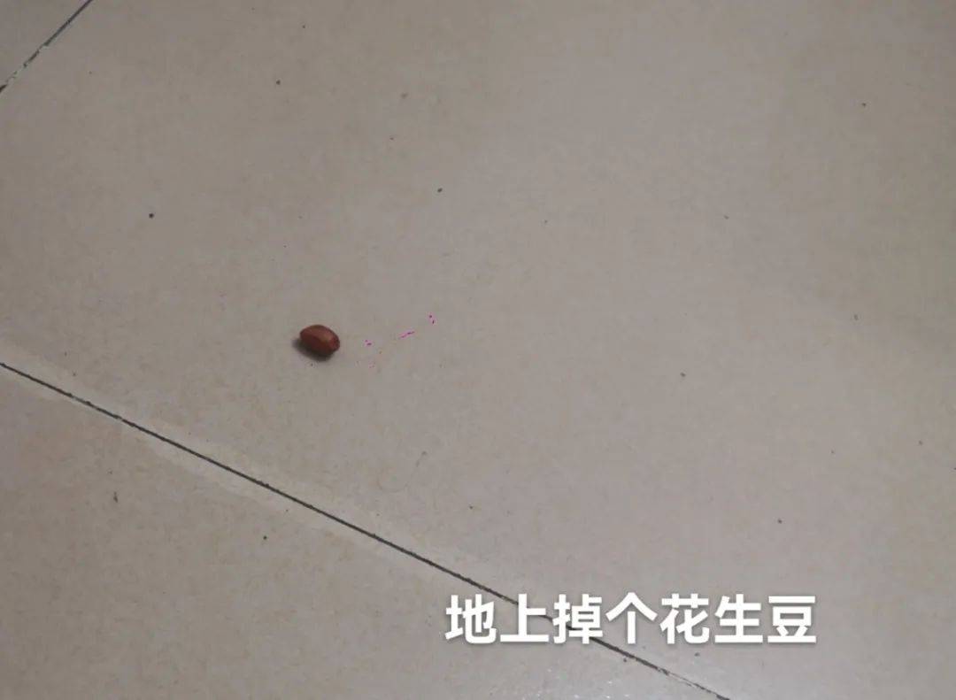 油炸花生豆◎马士龙_中国_漫画_桌子