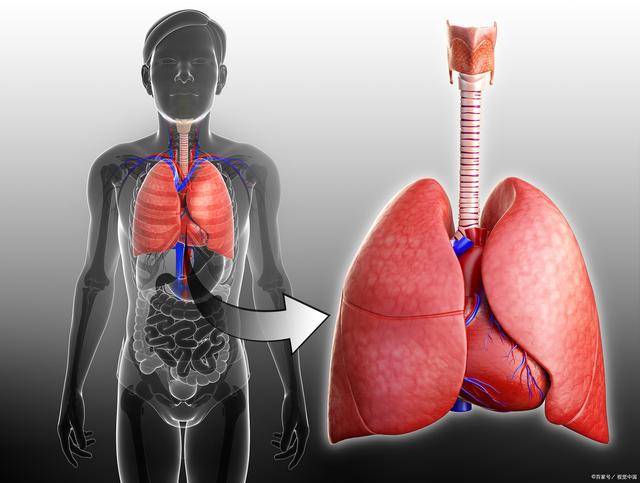 肺癌早期有三处痛图片